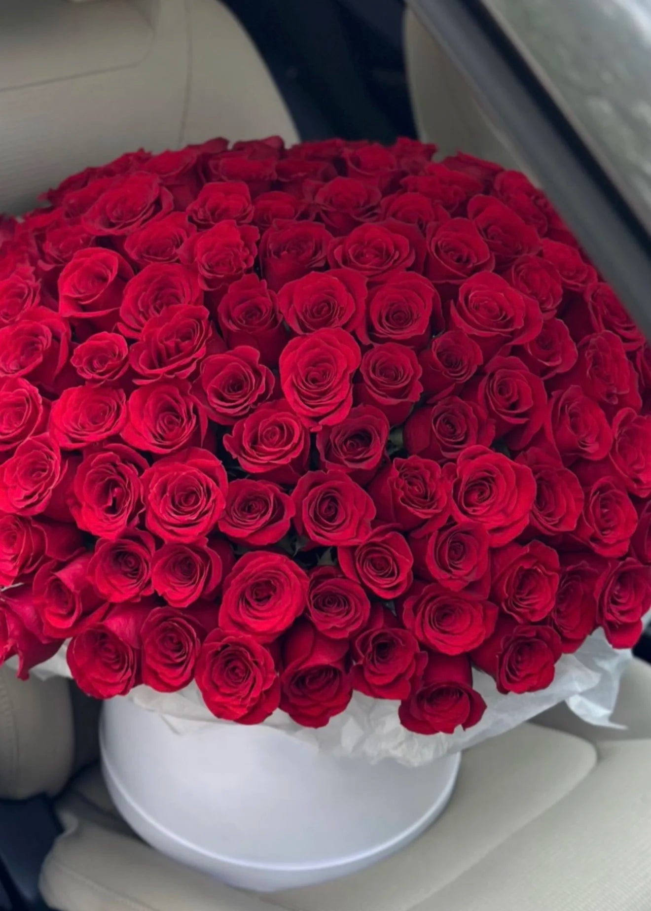 Red Velvet