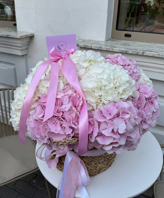 Floral Symphony